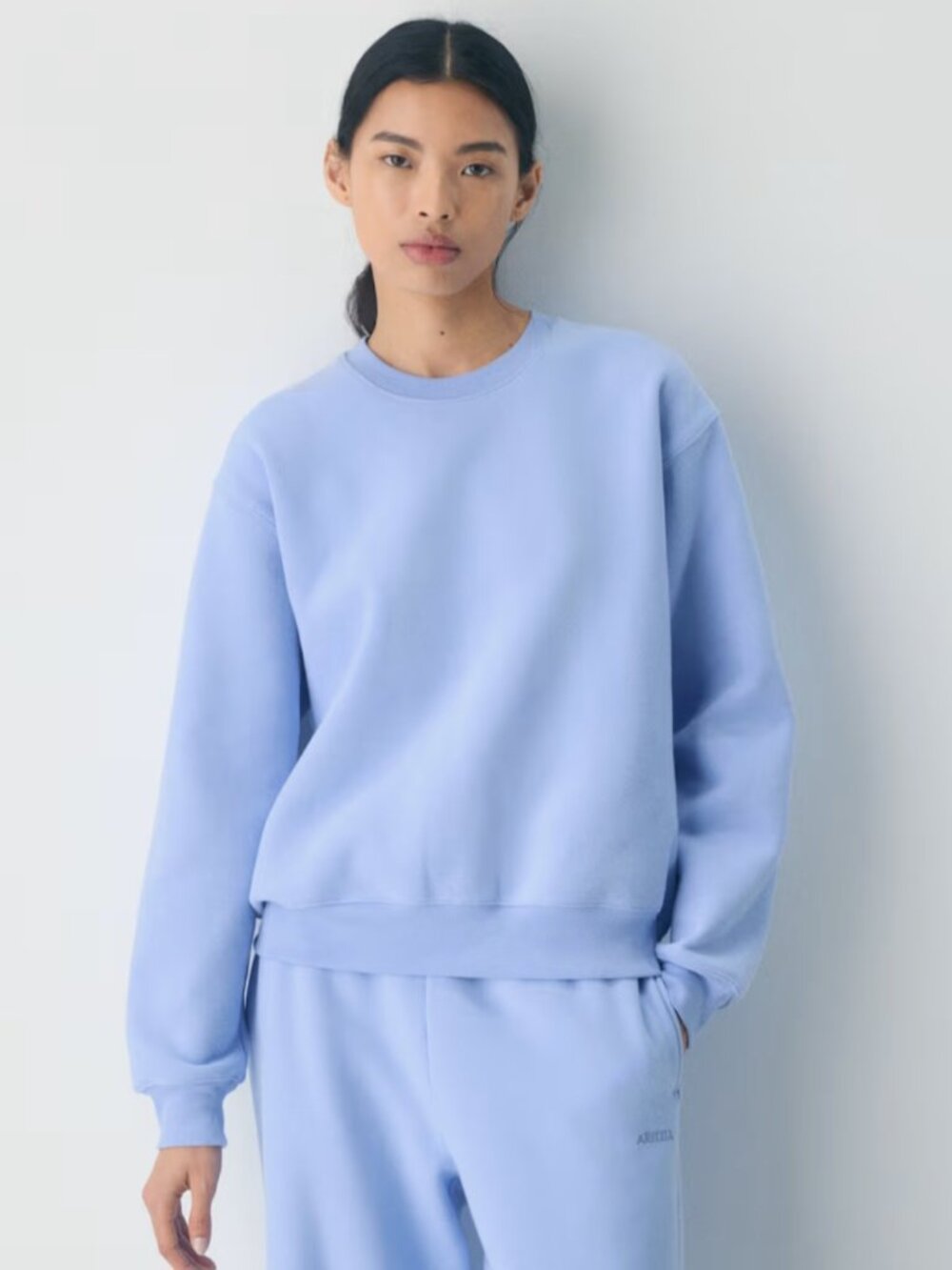 NWT Aritzia Sweatfleece PERFECT CREW Dayflower Blue XL
